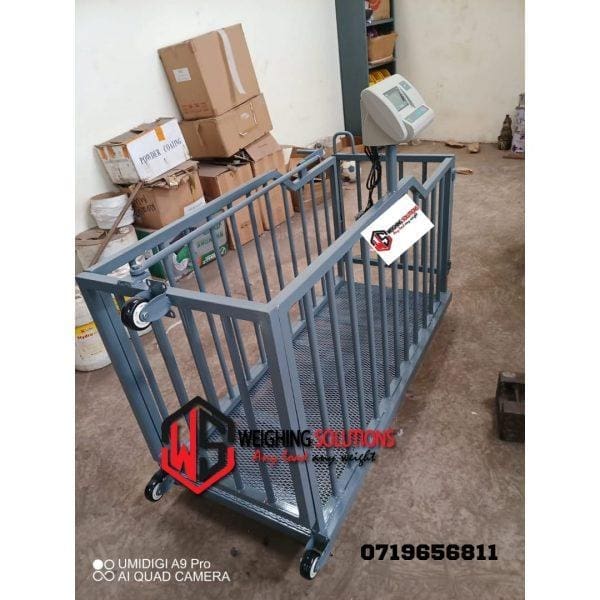Pig Weighing Scale