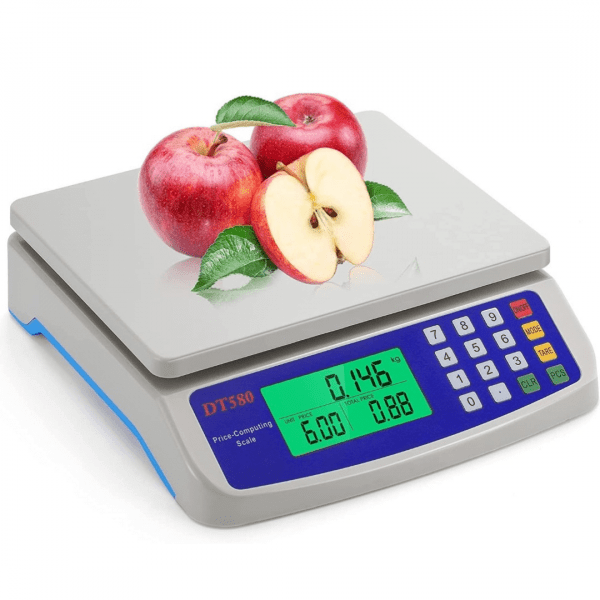 30kg x 1g Electronic Computing Scale(DT 580)
