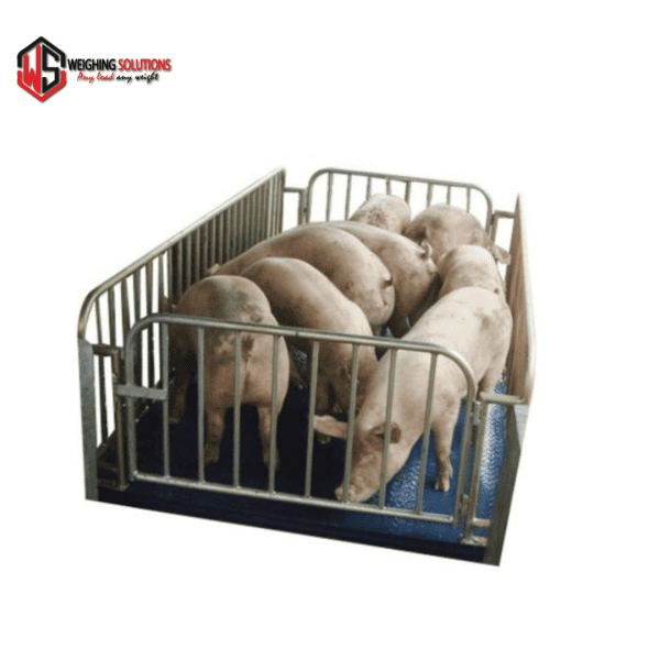 LIVESTOCK &CATTLE SCALES 1.5*2M