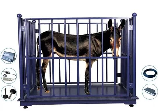 Electronic Animal Weighing Scale