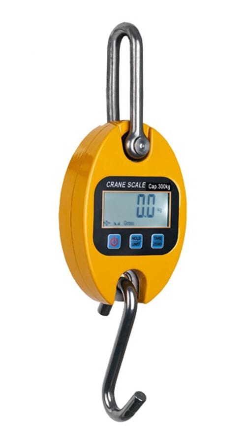 MINI CRANE SCALE 1