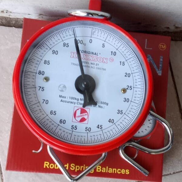 100kg Analog Hanging Scales