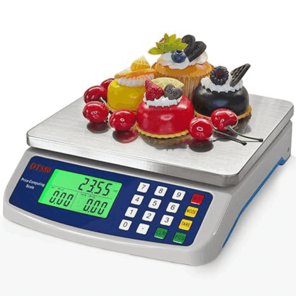 30kg x 1g Electronic Computing Scale(DT 580)