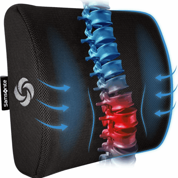 Lumbar Support Pillow